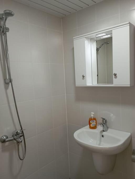 Gradina Apartment Монтана Екстериор снимка
